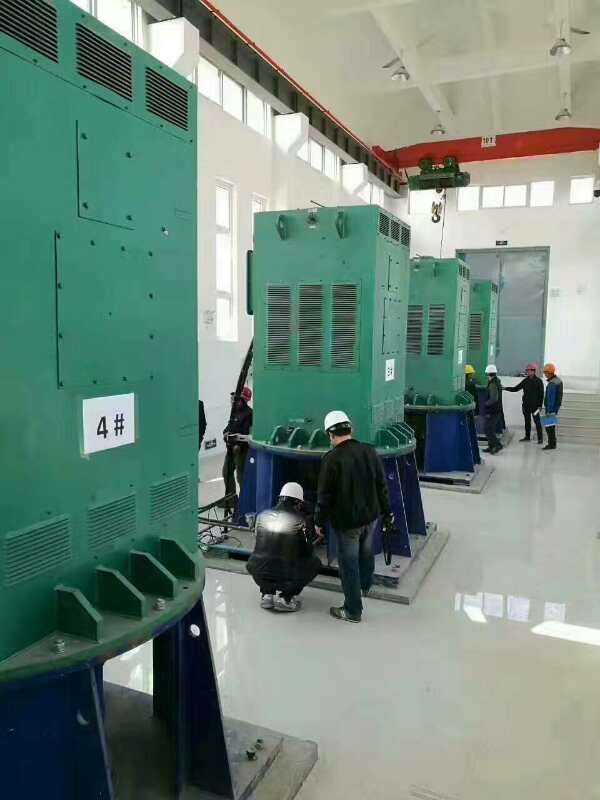 Y4002-6某污水处理厂使用我厂的立式高压电机安装现场