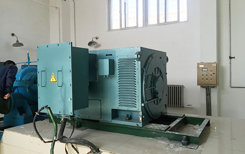 Y4002-6某水电站工程主水泵使用我公司高压电机