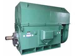 Y4002-6Y系列6KV高压电机